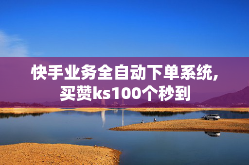 快手业务全自动下单系统,买赞ks100个秒到