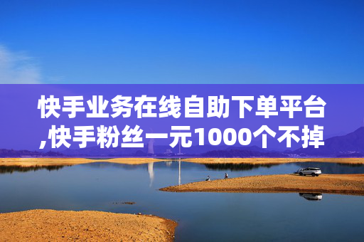 快手业务在线自助下单平台,快手粉丝一元1000个不掉粉