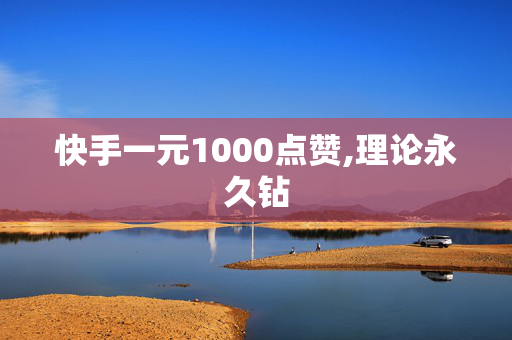 快手一元1000点赞,理论永久钻