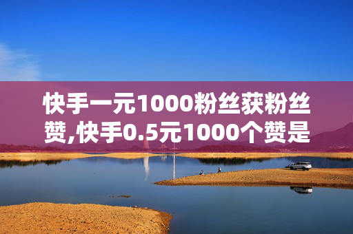 快手一元1000粉丝获粉丝赞,快手0.5元1000个赞是真的吗