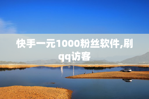 快手一元1000粉丝软件,刷qq访客