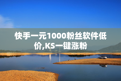 快手一元1000粉丝软件低价,KS一键涨粉