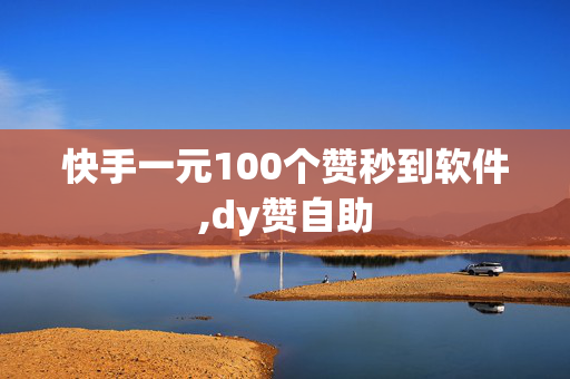 快手一元100个赞秒到软件,dy赞自助