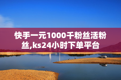 快手一元1000千粉丝活粉丝,ks24小时下单平台