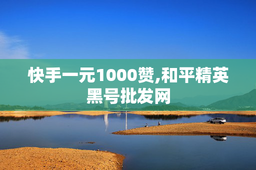 快手一元1000赞,和平精英黑号批发网