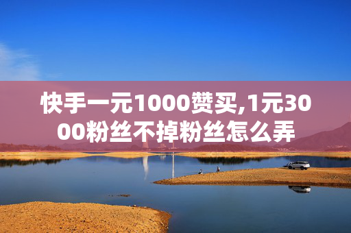 快手一元1000赞买,1元3000粉丝不掉粉丝怎么弄