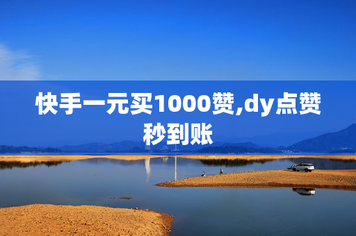 快手一元买1000赞,dy点赞秒到账