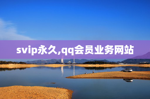 svip永久,qq会员业务网站