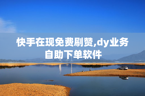 快手在现免费刷赞,dy业务自助下单软件